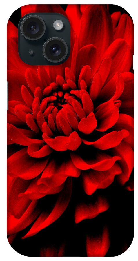 Flower iPhone Case featuring the photograph Flower 1 by Jeff Heimlich
