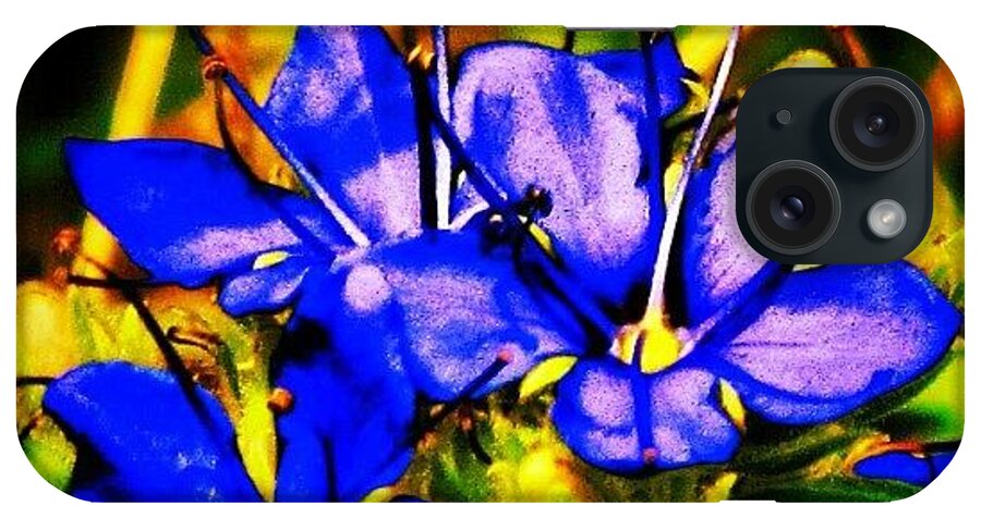 Igersarkansas iPhone Case featuring the photograph flower Art #nature #austin by Roger Snook
