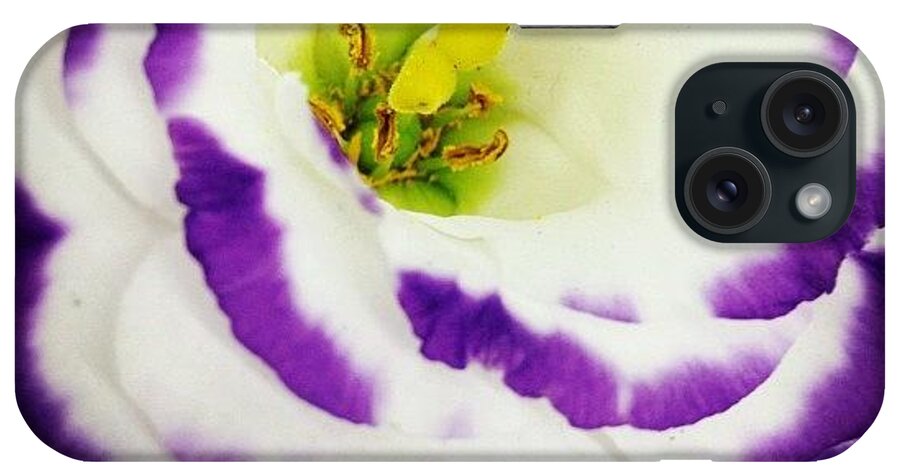 Iphoneonly iPhone Case featuring the photograph #flower #color #spring #revelarfloripa by Avatar Pics