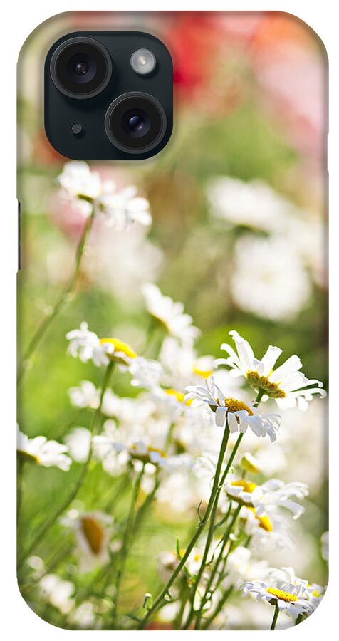 Meadow iPhone Case featuring the photograph Wildflower meadow by Elena Elisseeva