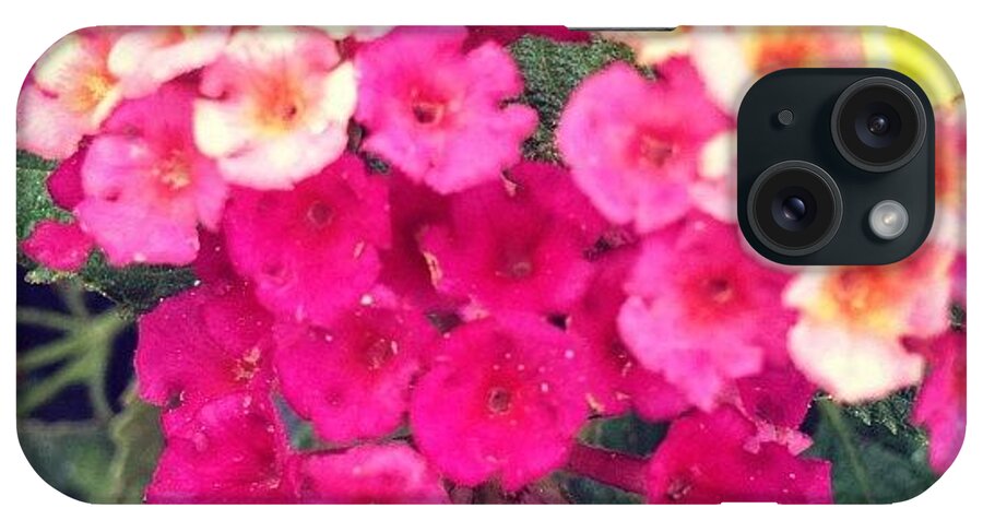 Flower iPhone Case featuring the photograph #flower #nature #garden by Timmy Tran