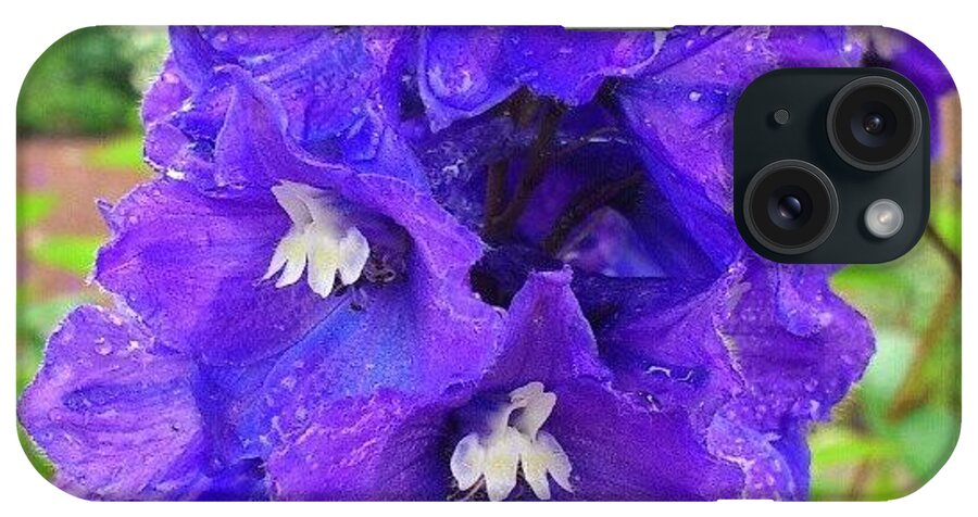 Plants iPhone Case featuring the photograph #flower #purple #nature #natural #trees by Stephen Mullenger