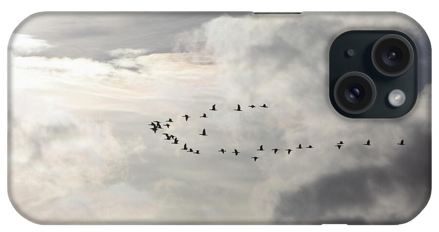 Swarm iPhone Case featuring the photograph Flying into the sun by Ulrich Kunst And Bettina Scheidulin