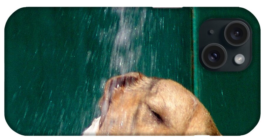 Dog iPhone Case featuring the photograph Fresh by Alessandro Della Pietra