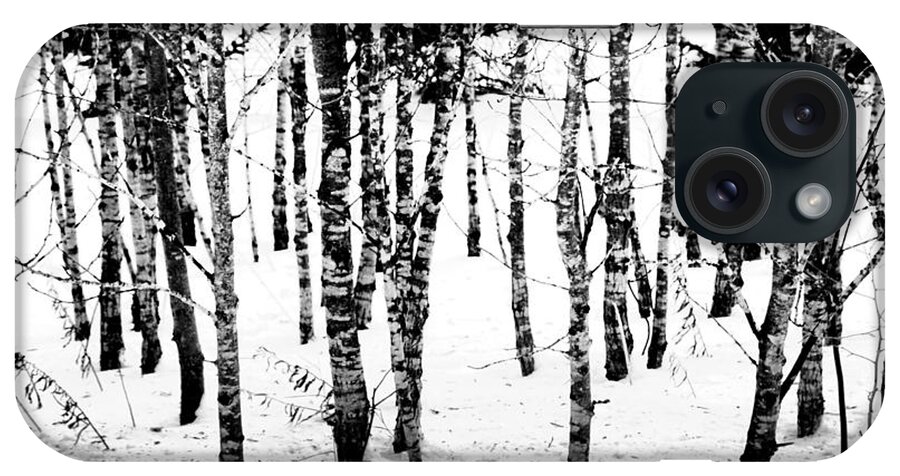 Birch iPhone Case featuring the photograph Frigid White by Terry Doyle