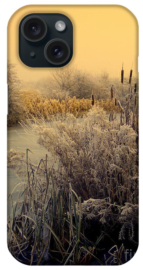 Frost iPhone Case featuring the photograph Frost by Linsey Williams