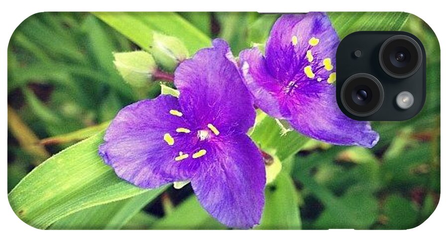 Purple iPhone Case featuring the photograph #garden #nature #flower #purple by Timmy Tran