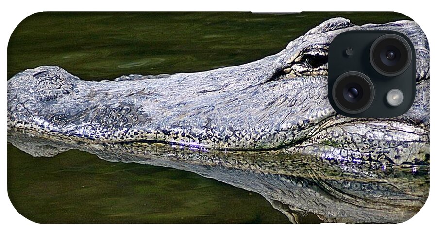 Gator iPhone Case featuring the photograph Gator5 by Joe Faherty