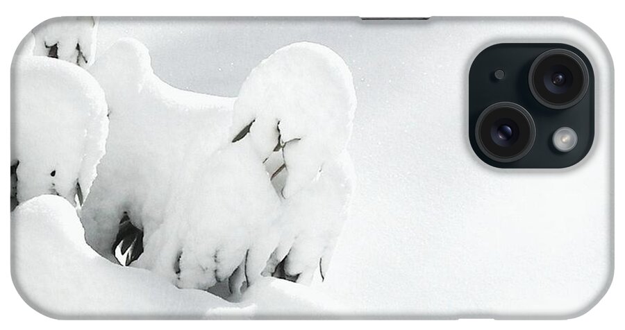 Winter iPhone Case featuring the photograph Ghostly Snow Covered Bush by Pamela Hyde Wilson