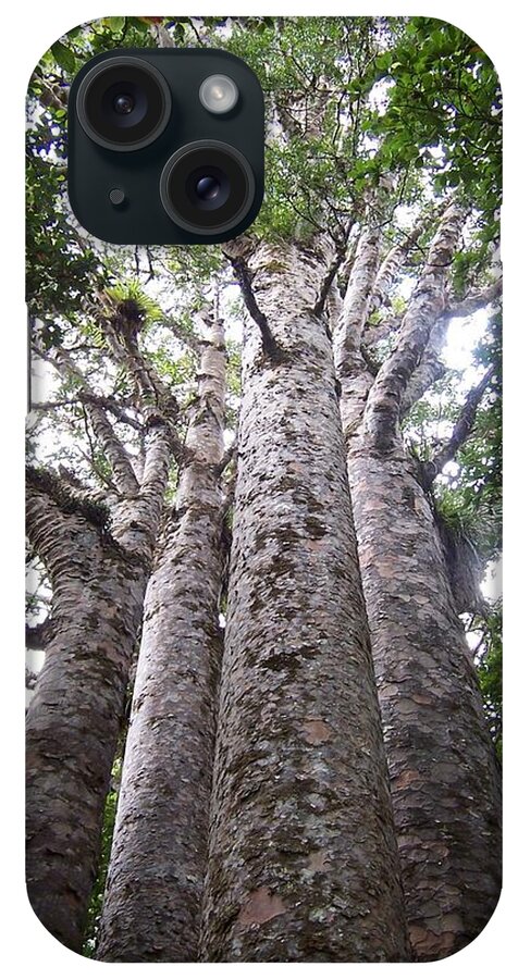 New Zealand iPhone Case featuring the photograph Giant Kauri Grove by Peter Mooyman