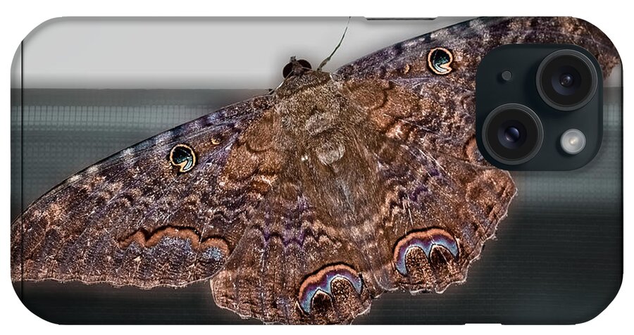 Moth iPhone Case featuring the photograph Giant Moth by DigiArt Diaries by Vicky B Fuller