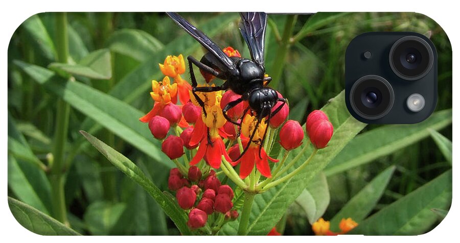 Sphex Pennsylvanicus iPhone Case featuring the photograph Giant Wasp by S Paul Sahm