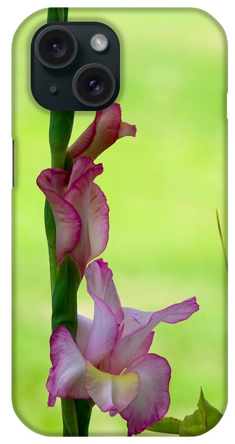 Blossom iPhone Case featuring the photograph Gladiolus Blossoms by Ed Gleichman