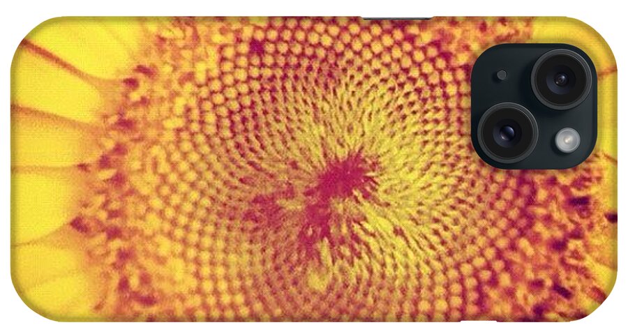 Golden iPhone Case featuring the photograph Golden Spiral by Tom Crask