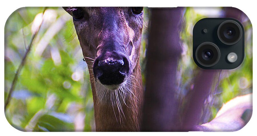 Doe iPhone Case featuring the photograph Good Looking Lady by Ed Peterson