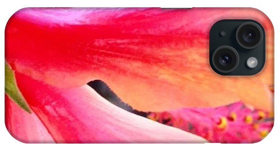 Mobilephotography iPhone Case featuring the photograph Good Morning Friends by Lesley Asis