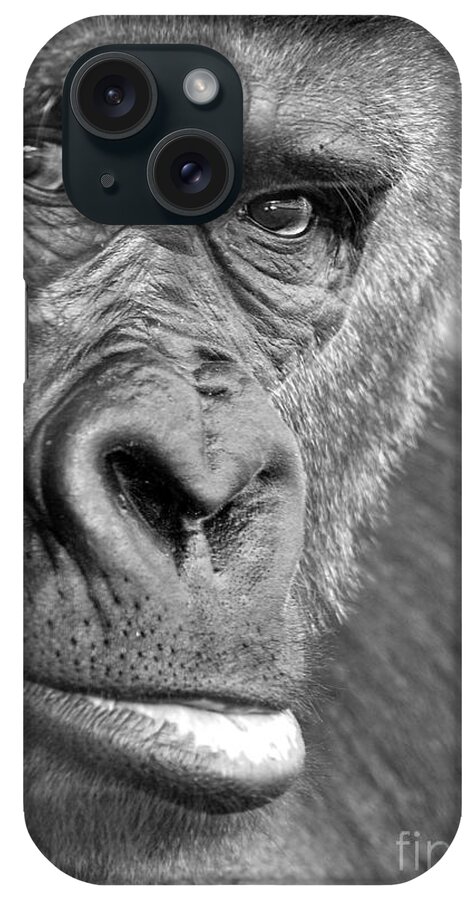 Gorilla iPhone Case featuring the photograph Gorilla 2 by Susan Cliett