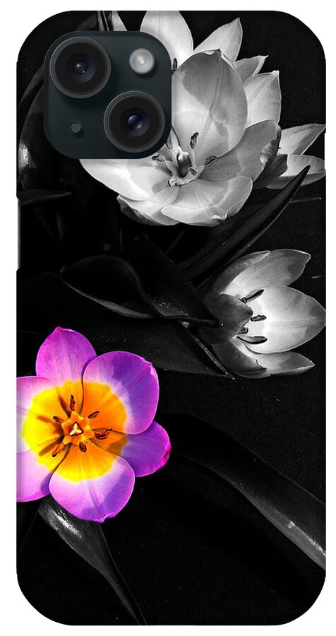 Tulip iPhone Case featuring the photograph Grabbing the Spotlight by Nick Kloepping