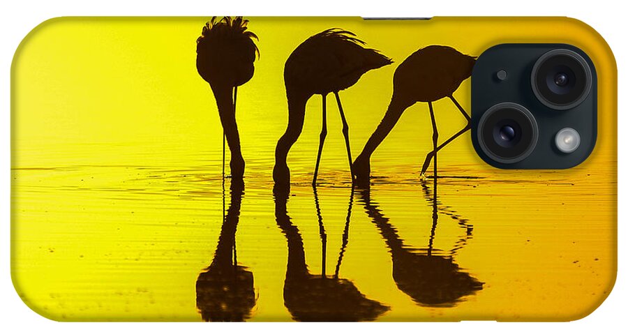 Africa iPhone Case featuring the photograph Graceful gathering by Alistair Lyne