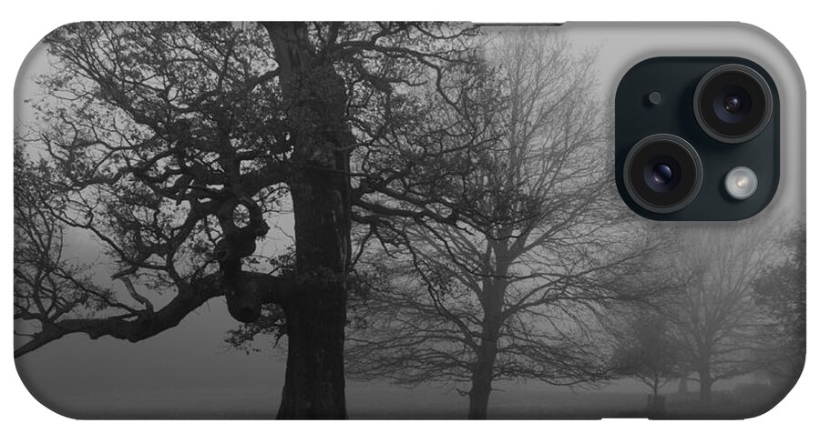 Trees iPhone Case featuring the photograph Gradual Trees by Maj Seda