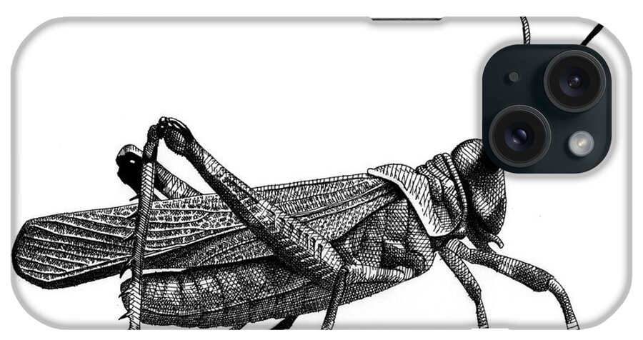 Grasshopper iPhone Case featuring the drawing Grasshopper by Scott Woyak