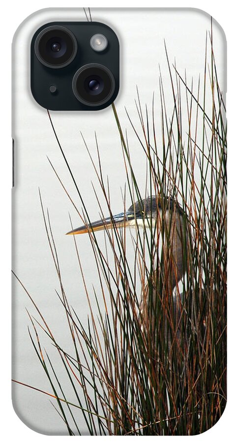 Great Blue Heron iPhone Case featuring the photograph Great Blue Heron by Kay Lovingood