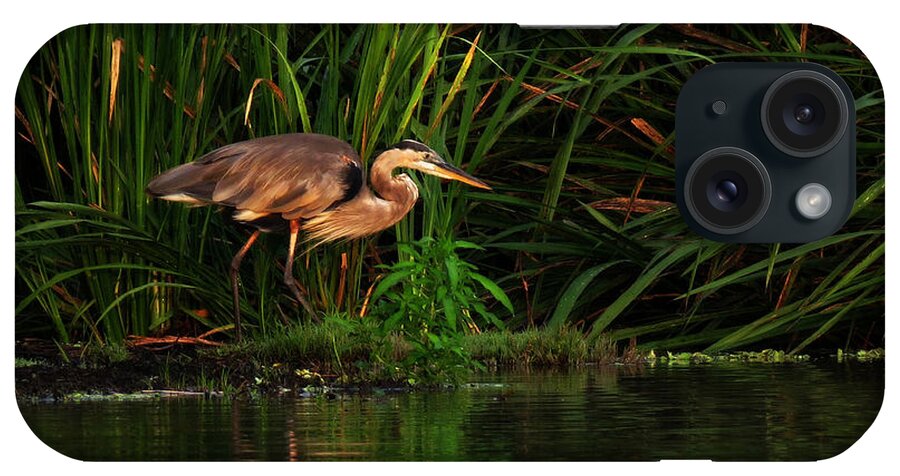 Nature iPhone Case featuring the photograph Great Heron by Deborah Smith