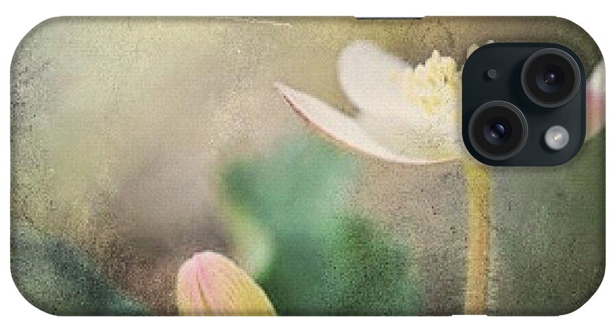 Simplicity iPhone Case featuring the photograph Green Lover by Joel Lopez