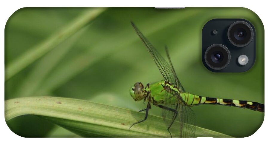 Dragonfly iPhone Case featuring the photograph Green On Green by Living Color Photography Lorraine Lynch