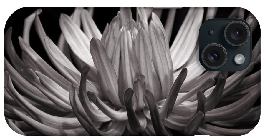 Black And White iPhone Case featuring the photograph Grey Dahlia by Deborah Runham