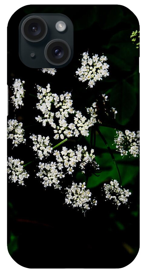 Closeup iPhone Case featuring the photograph Ground-elder by Michael Goyberg