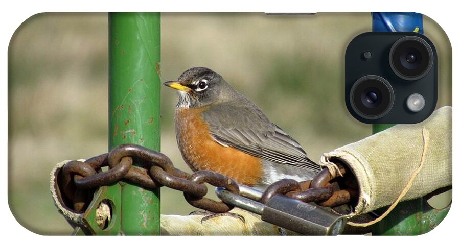 Birds iPhone Case featuring the photograph Guardian of the gate by I'ina Van Lawick