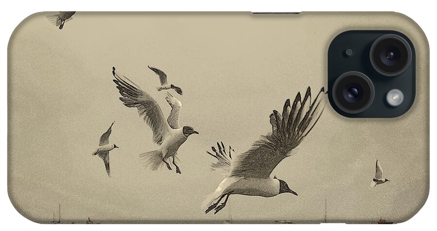 Sea Birds iPhone Case featuring the photograph Gulls by Linsey Williams