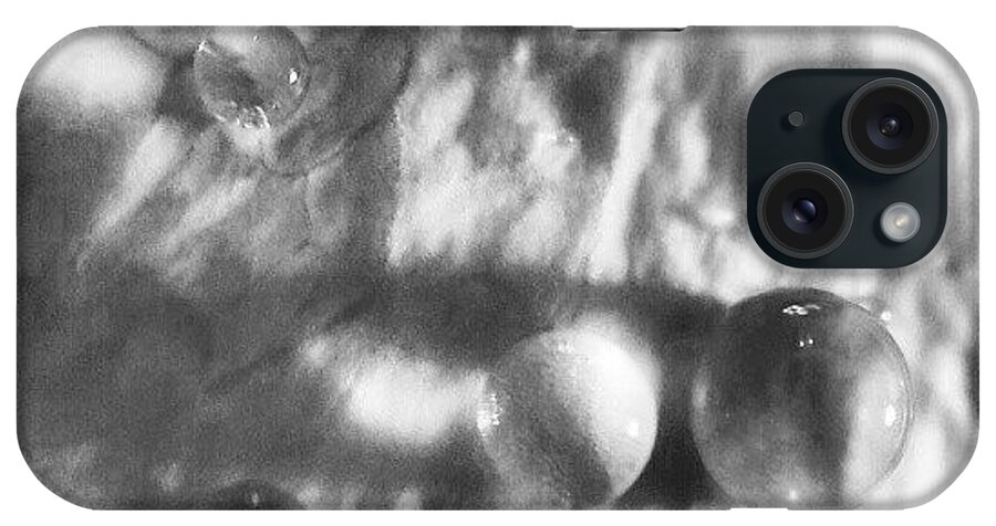 Macrogardener iPhone Case featuring the photograph Hanging Drops On A Petal by Julieta Garcia