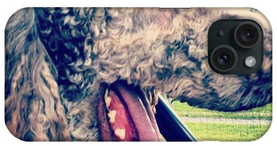 Tounge iPhone Case featuring the photograph Happy Poodle by Lori Lynn Gager