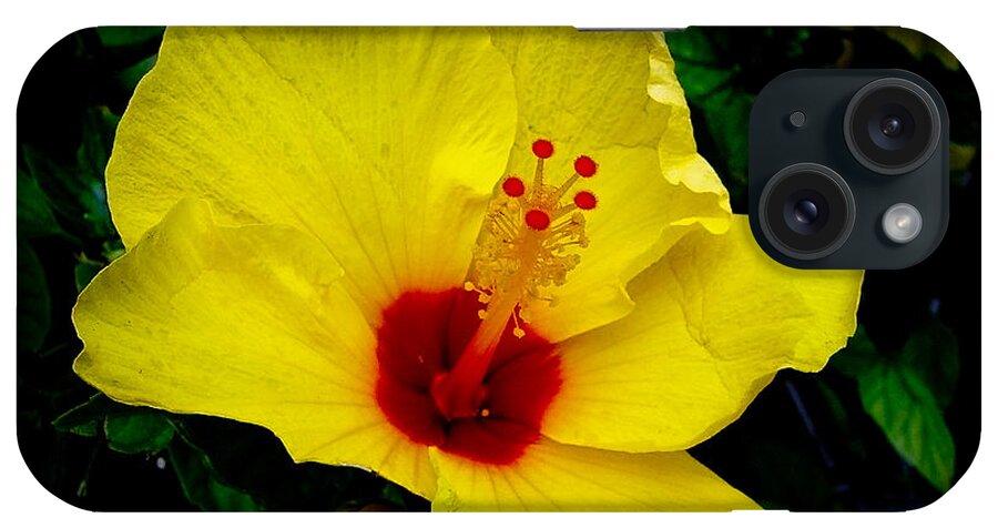 Hibiscus iPhone Case featuring the photograph Hawaiian Yellow Hibiscus by Athena Mckinzie