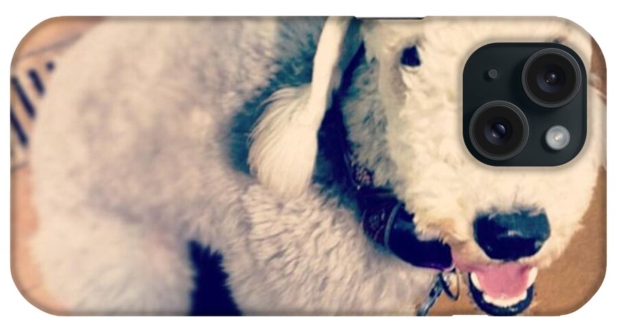  iPhone Case featuring the photograph He Looks Like A Sheep! Lol 🐶 by Nena Alvarez