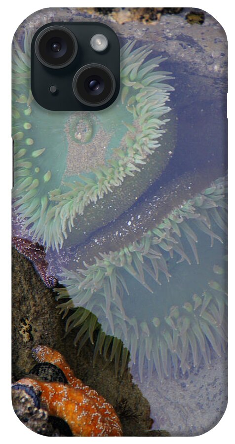 Heart iPhone Case featuring the photograph Heart of the Tide Pool by Mick Anderson