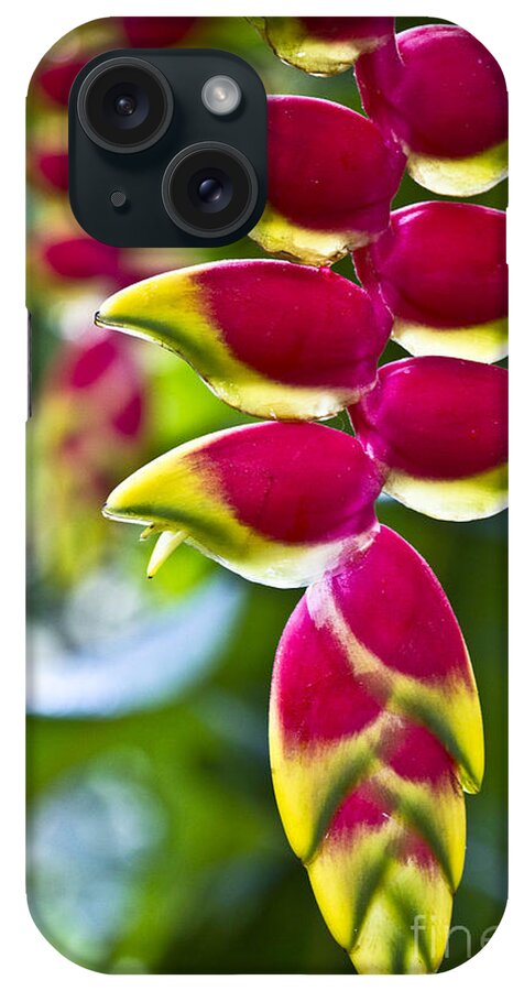 Heliconia iPhone Case featuring the photograph Heliconia rostrata by Heiko Koehrer-Wagner