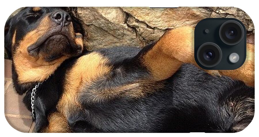 Rottweiler iPhone Case featuring the photograph Hera Taking A Nap In The Sun by Adriana Guimaraes