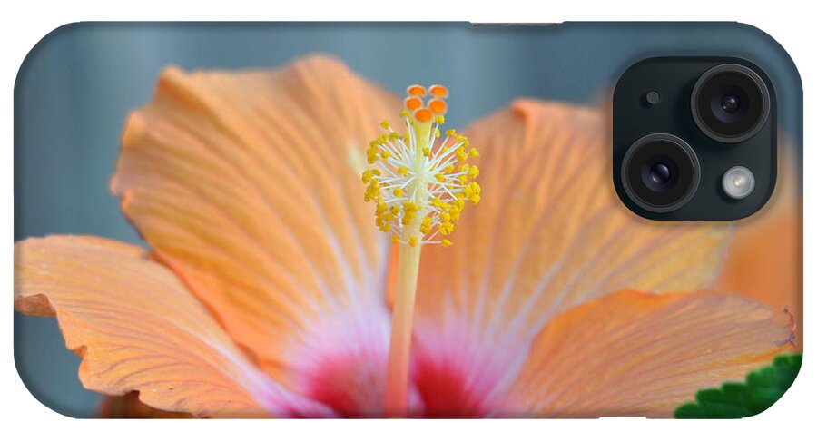 Teresa Blanton iPhone Case featuring the photograph Hibiscus 5 by Teresa Blanton