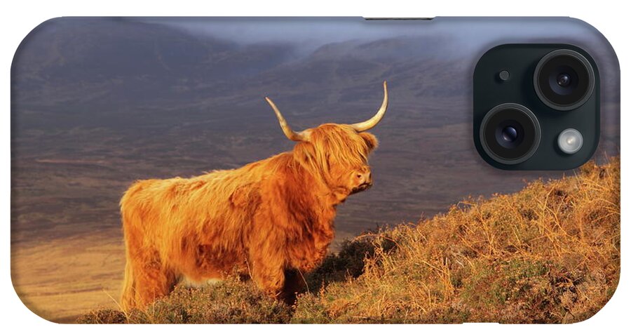 Highland iPhone Case featuring the photograph Highland Cattle Landscape by Bruce J Robinson
