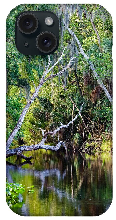 Florida iPhone Case featuring the photograph Hillsborough River at Morris Bridge Wilderness Park by Ed Gleichman