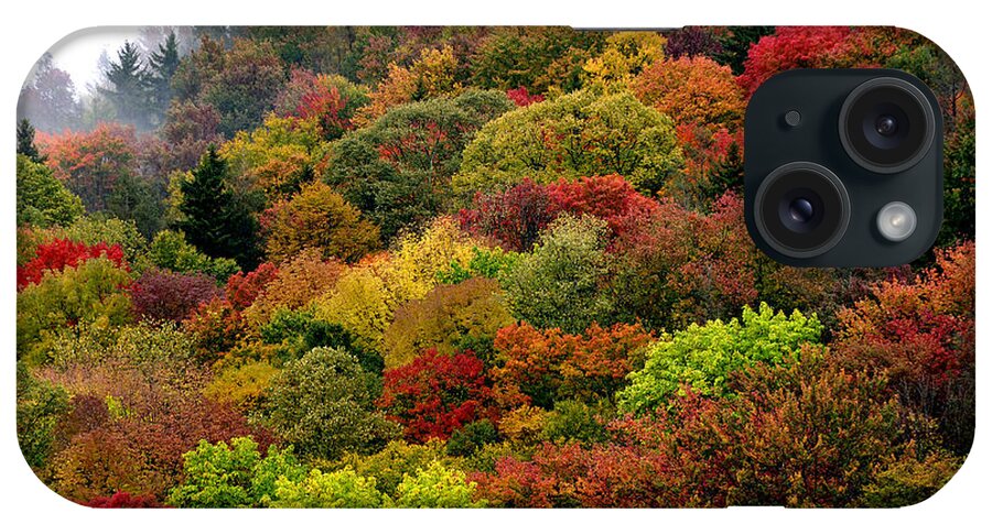 Autumn iPhone Case featuring the photograph Hillside Canvas Fall Color by Thomas R Fletcher