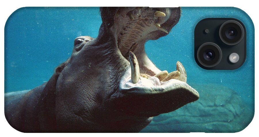 Mp iPhone Case featuring the photograph Hippopotamus Hippopotamus Amphibius by Zssd