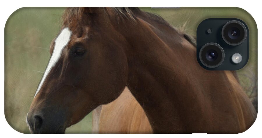Horse iPhone Case featuring the digital art Horse Painterly by Ernest Echols