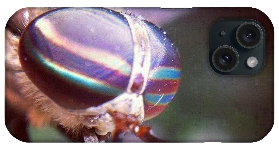  iPhone Case featuring the photograph Horsefly by Dave Edens
