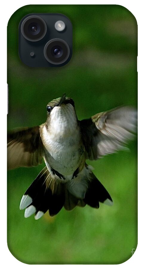 Color Photography iPhone Case featuring the photograph Hovering Hummingbird by Sue Stefanowicz