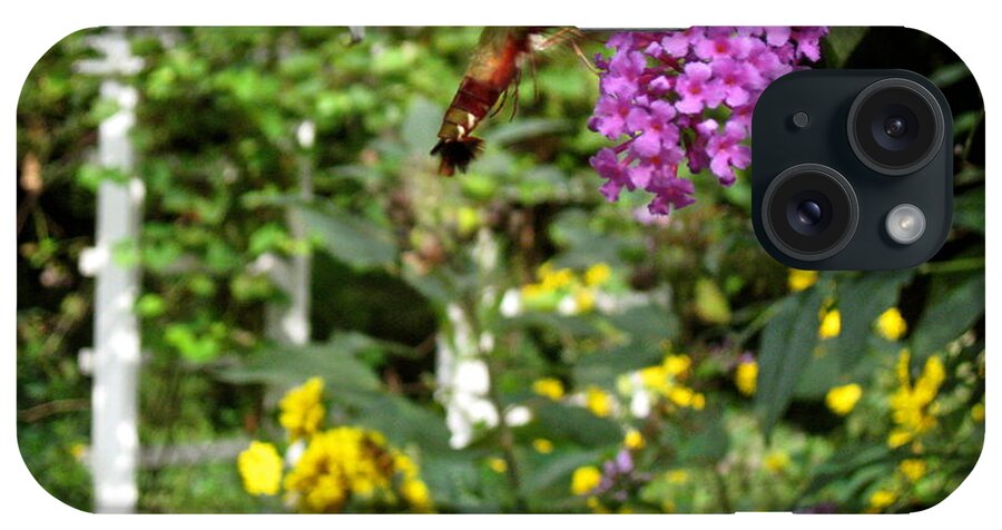 Hummingbird Moth iPhone Case featuring the photograph Hummingbird Moth in Flight by Nancy Patterson