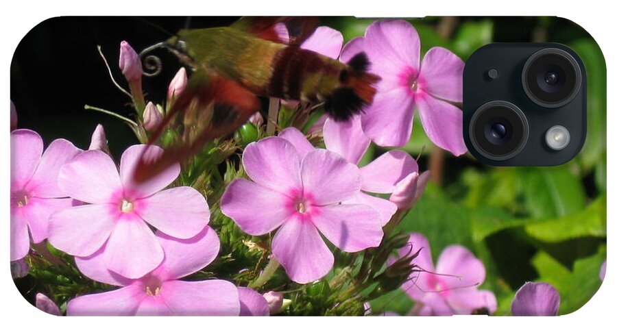 Hummingbird Moth iPhone Case featuring the photograph Hummingbird Moth by Nancy Patterson